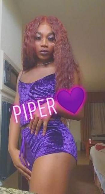 4787032788, transgender escort, Macon